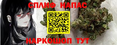 спиды Будённовск