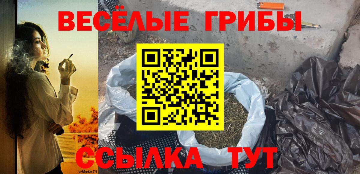 Псилоцибиновые грибы Cubensis Шуя