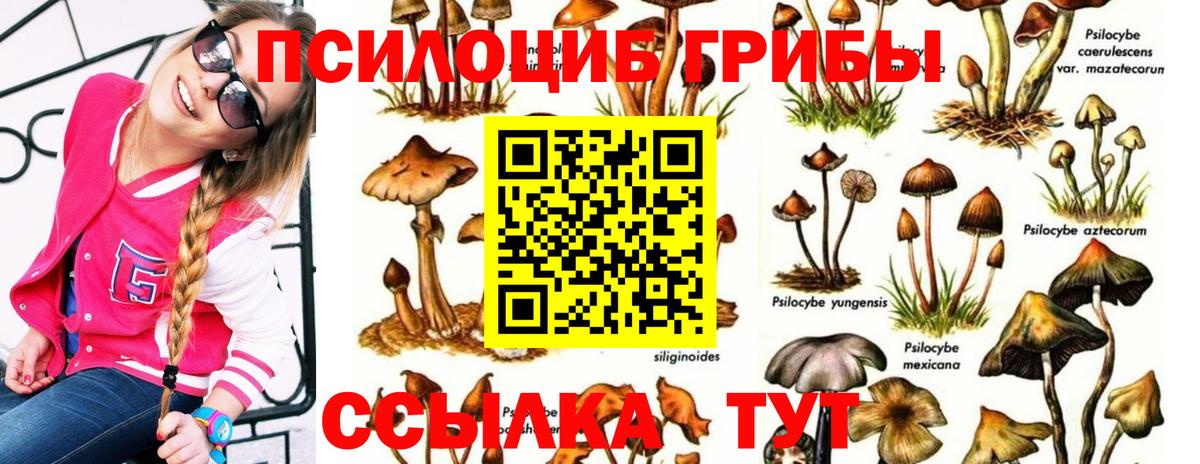 Шуя  Галлюциногенные грибы мицелий  магазин    Вход с VPN  Галлюциногенные грибы MAGIC MUSHROOMS 